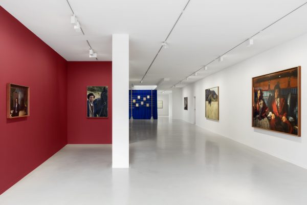 Installation view of Lessons of the Hour by Isaac Julien